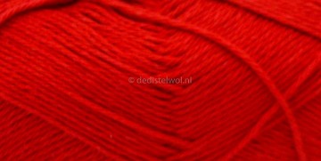 Bijer Cotton Eight 8/4 (338)1