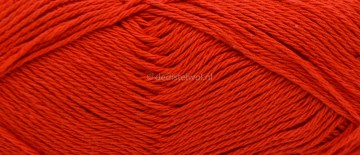 Bijer Cotton Eight 8/4 (366)1